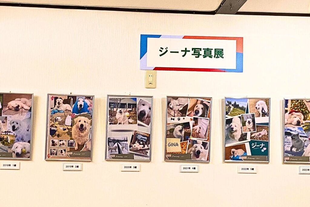 看板犬ジーナ 写真展 2017年から2025年までの成長記録 展示の様子