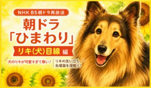 朝ドラひまわり・リキ（犬）目線編のアイキャッチ画像