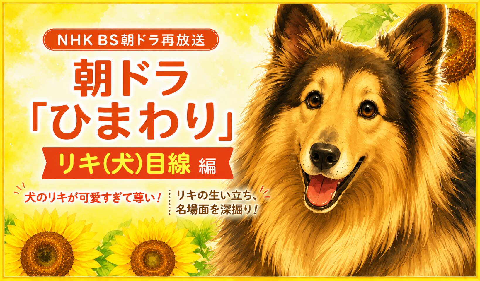 朝ドラひまわり・リキ（犬）目線編のアイキャッチ画像