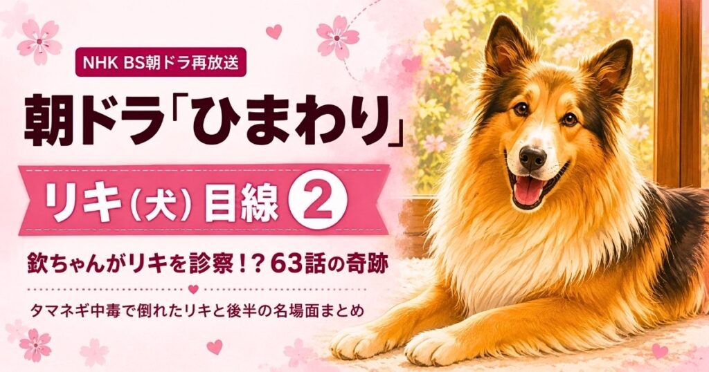 朝ドラ『ひまわり』リキ（犬）目線②のアイキャッチ画像｜欽ちゃんがリキを診察！？63話の奇跡